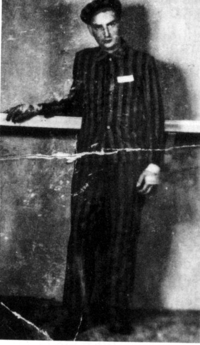 fischel.jpg