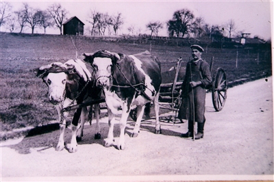 Hermann Ayen mit einem Fuhrwerk: führender Kommunist in Mössingen