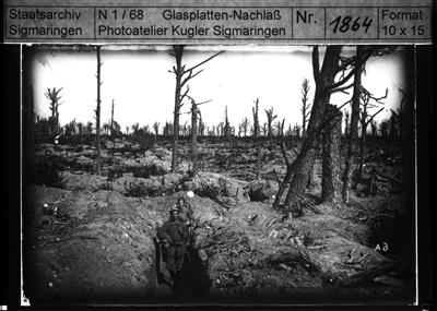 Zerschossener Wald in den Argonnen