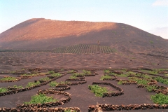 lanzarote.jpg