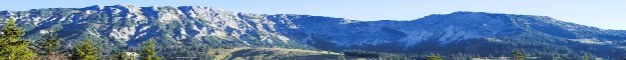 natur_60.jpg natur_60.jpg