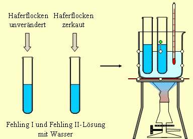 Versuchsskizze