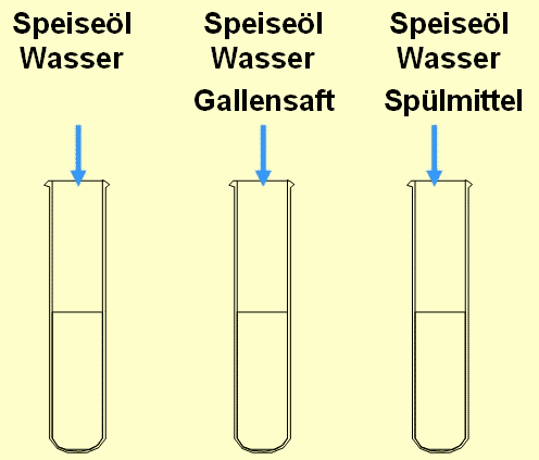 Versuchsskizze