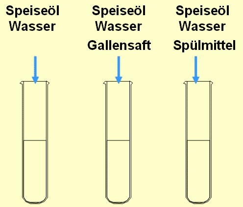 bild6.gif