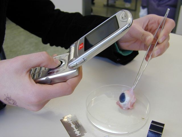aufapfel_fotografieren.jpg