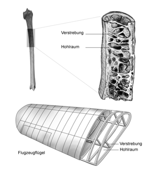 Bauprinzip eines Flugzeugflügels