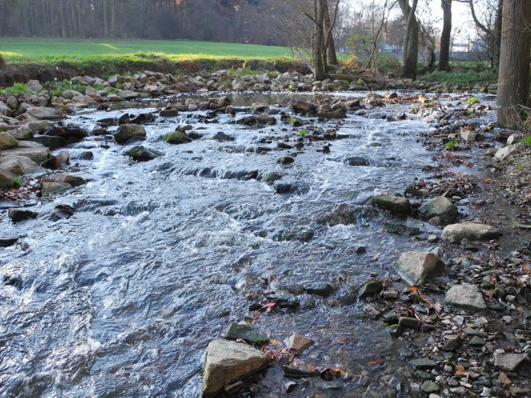 koersch_unterhalb_klaeranlage4_1024.jpg