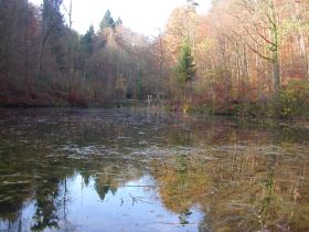 Der Tiefenbachweiher