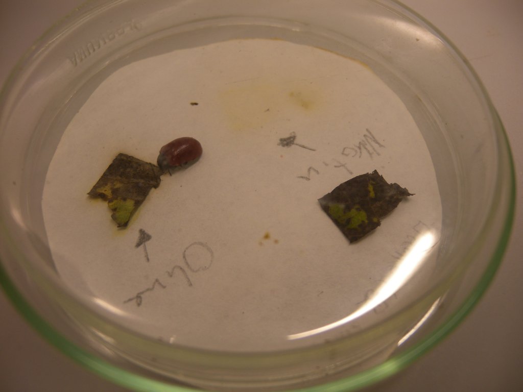 DSCN02631.JPG