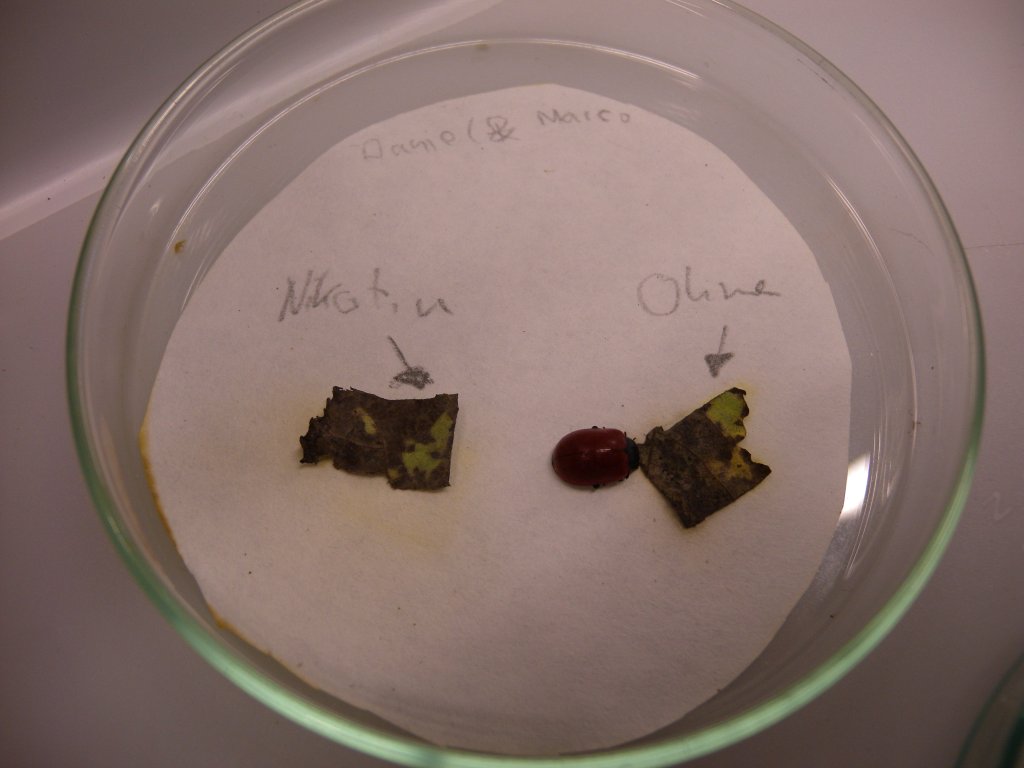 DSCN02651.JPG