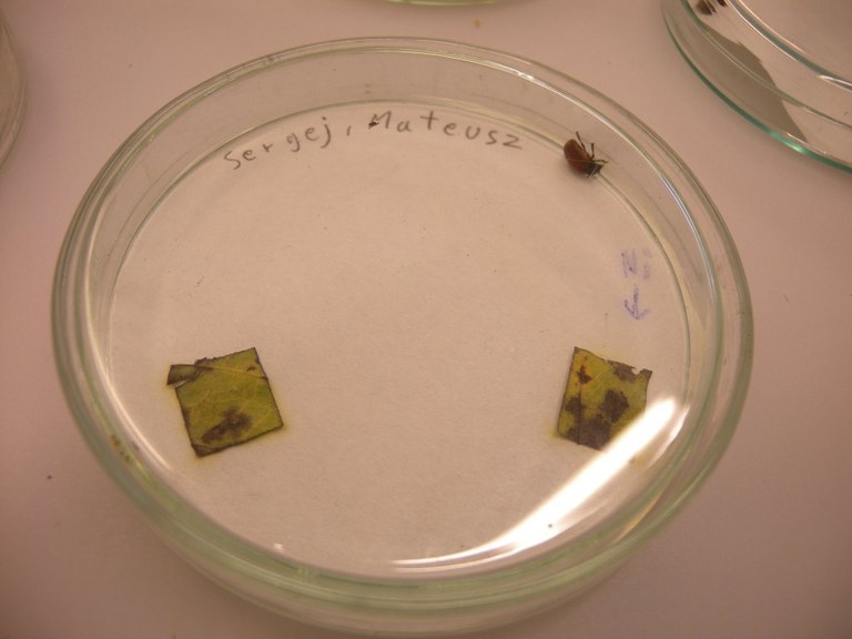 DSCN02711.JPG