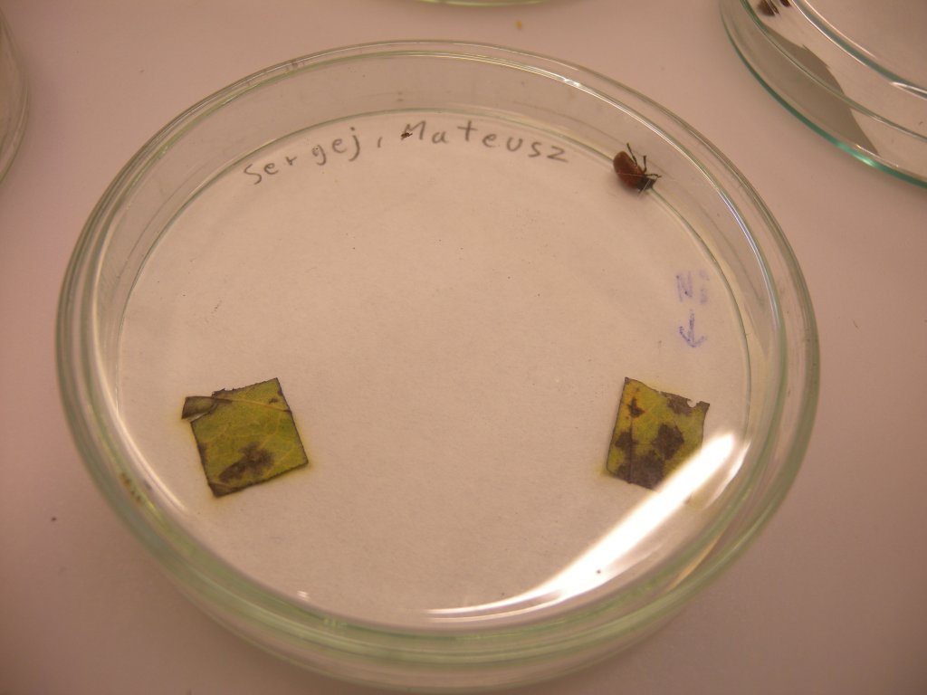 DSCN02711.JPG