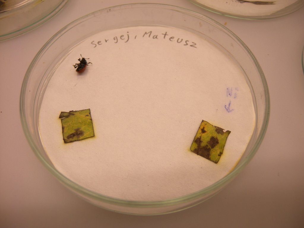 DSCN02721.JPG