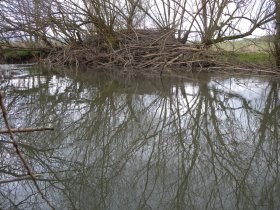 biberburg18_280.jpg