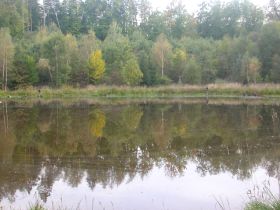 Weiher im Oktober