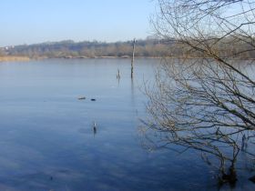 Besonnter Baggersee