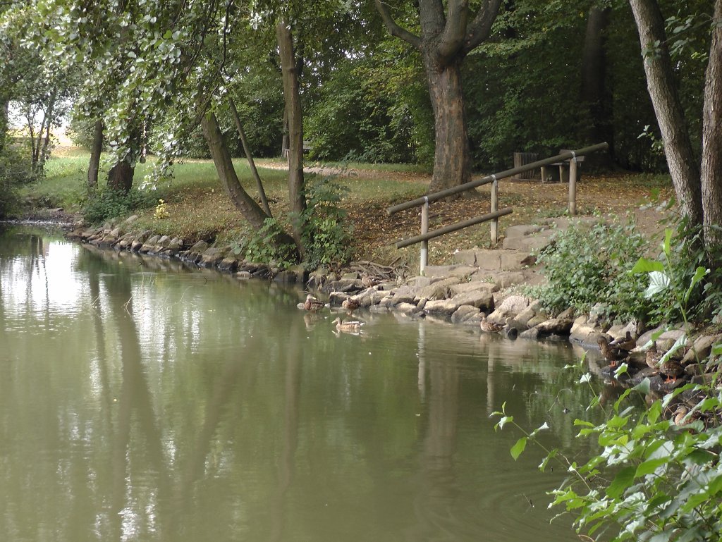 riedsee2_1024.jpg