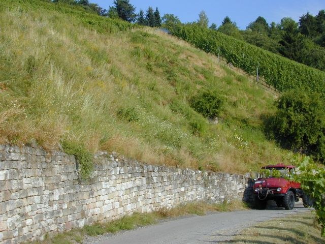 weinberg_cisterne.jpg