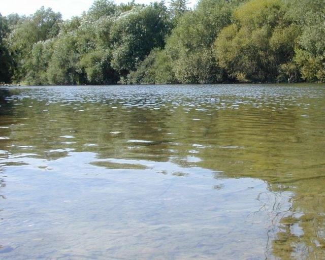 auenwald3.jpg
