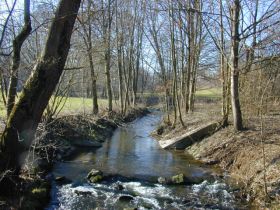 auenwald4_fruehjahr_280.jpg