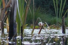 wasser2_280.jpg