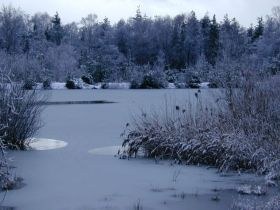 weiher_im_winter3_280.jpg