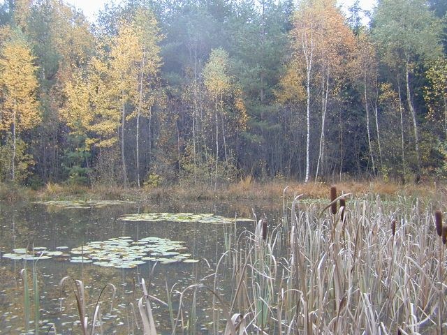 weiher_november4.jpg
