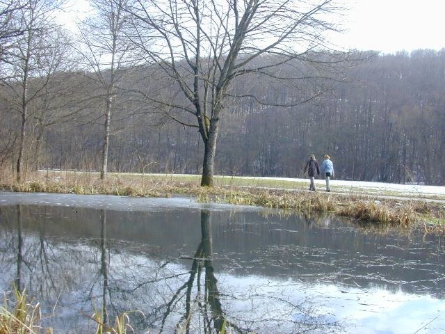 weiher_winter.jpg