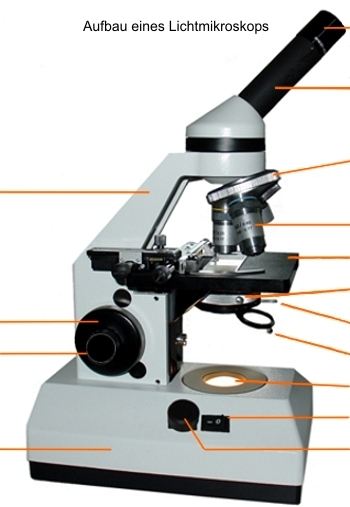 Ein Mikroskop