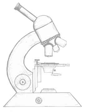 mikroskop_unbeschriftet_heller.jpg