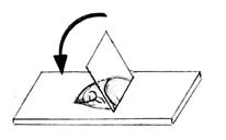 praeparat_anfertigen_deckglas_auflegen.jpg