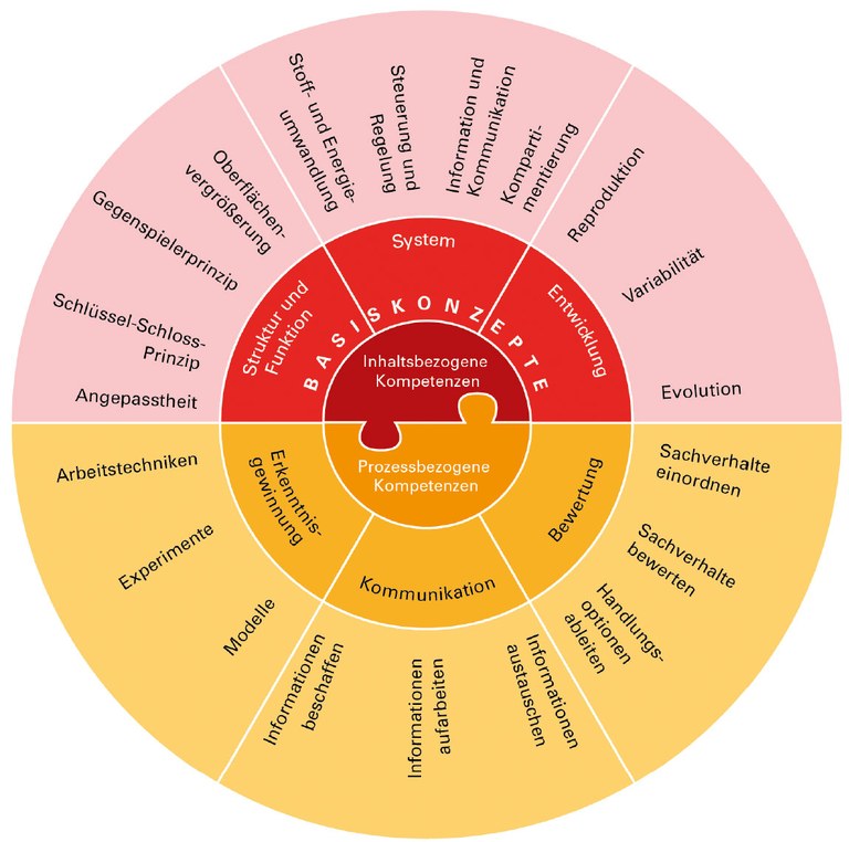 Kompetenzbereiche BaWue.jpg