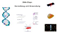 vorschau.jpg