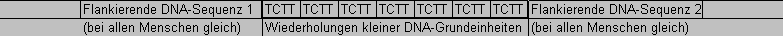 DNA1.gif