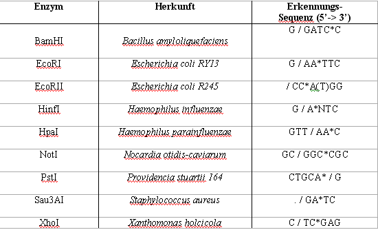Schema