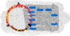 GeneMap