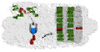 ProteoPur
