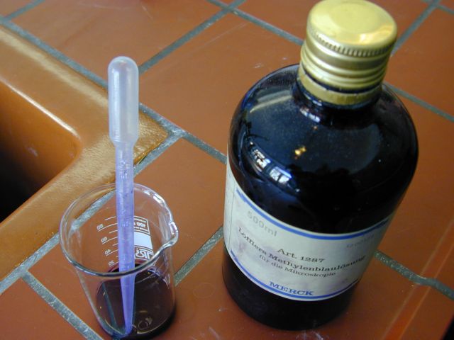 methylenblau.jpg