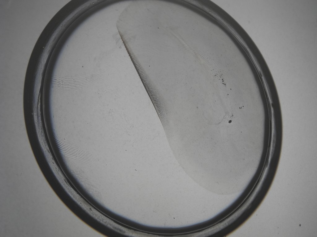 faellung_3_1024.jpg