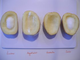 Kartoffelhälften wurden verschieden behandelt.