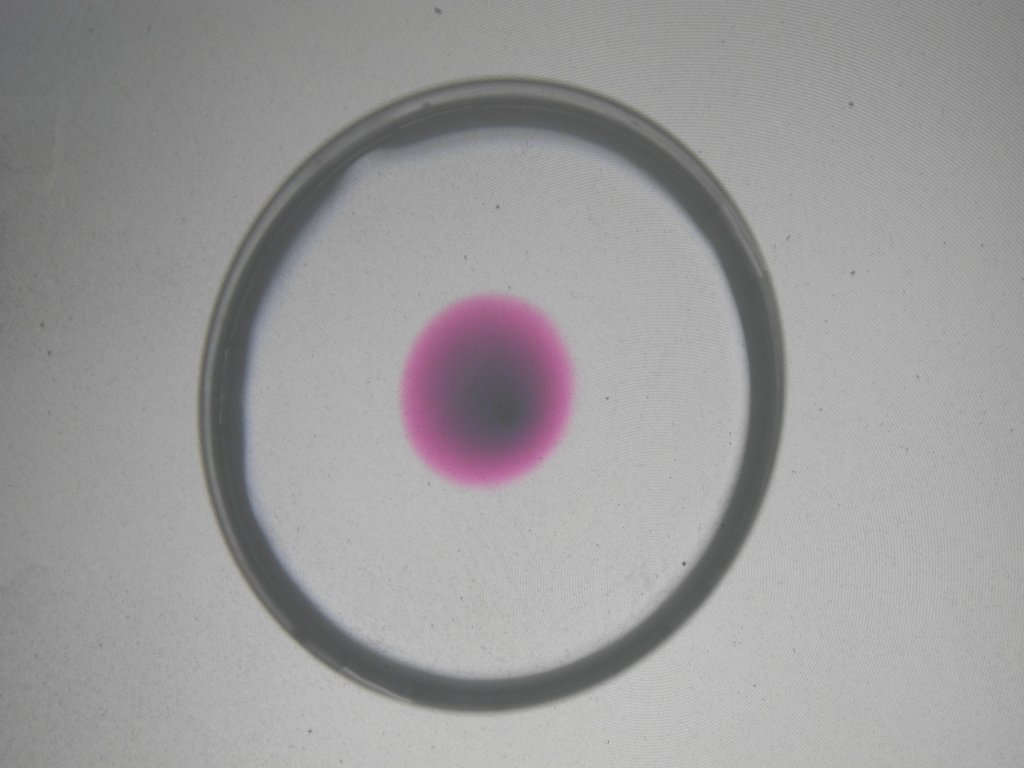 kmno4_diff4_1024.jpg