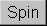 Spin Icon