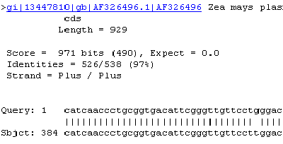 NCBI - Basensequenzen