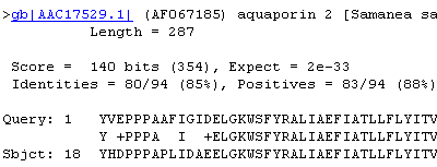 NCBI - Nukleotidsequenzen