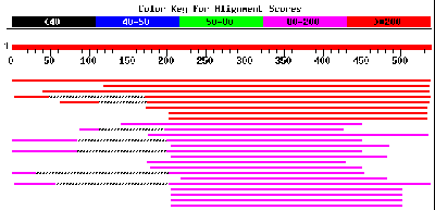 NCBI - Nukleotidsequenzen Übereinstimmungen