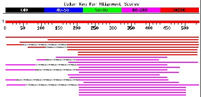 alignment_scores.gif