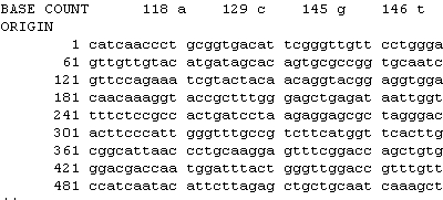 Nukreotidsequenzen in der NCBI Datenbank