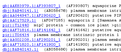 NCBI - Nukleotidsequenzen Datensätze geordnet nach absteigender Übereinstimmung