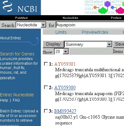 NCBI Datensätze