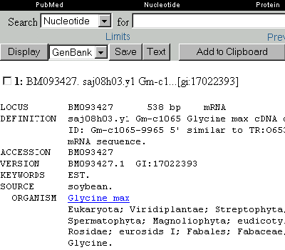 NCBI - Ein einzelner Datensatz